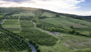 Aerial view of the Landscape of Dirt Farm Brewing. plant swap