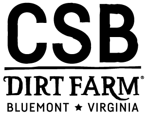 DFB-CSB-logo DFB-CSB-logo