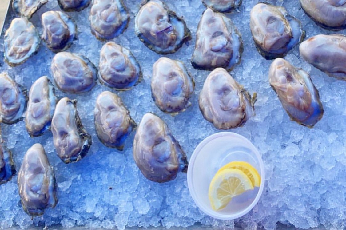 oyster_festival