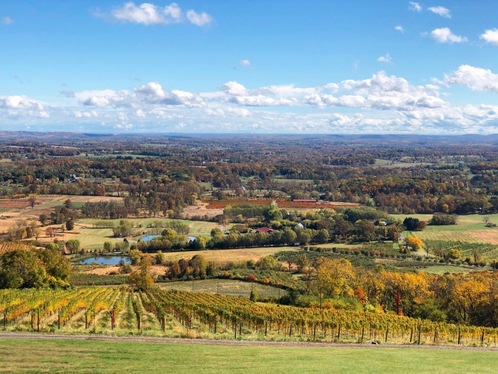 dirt_farm_view_fall