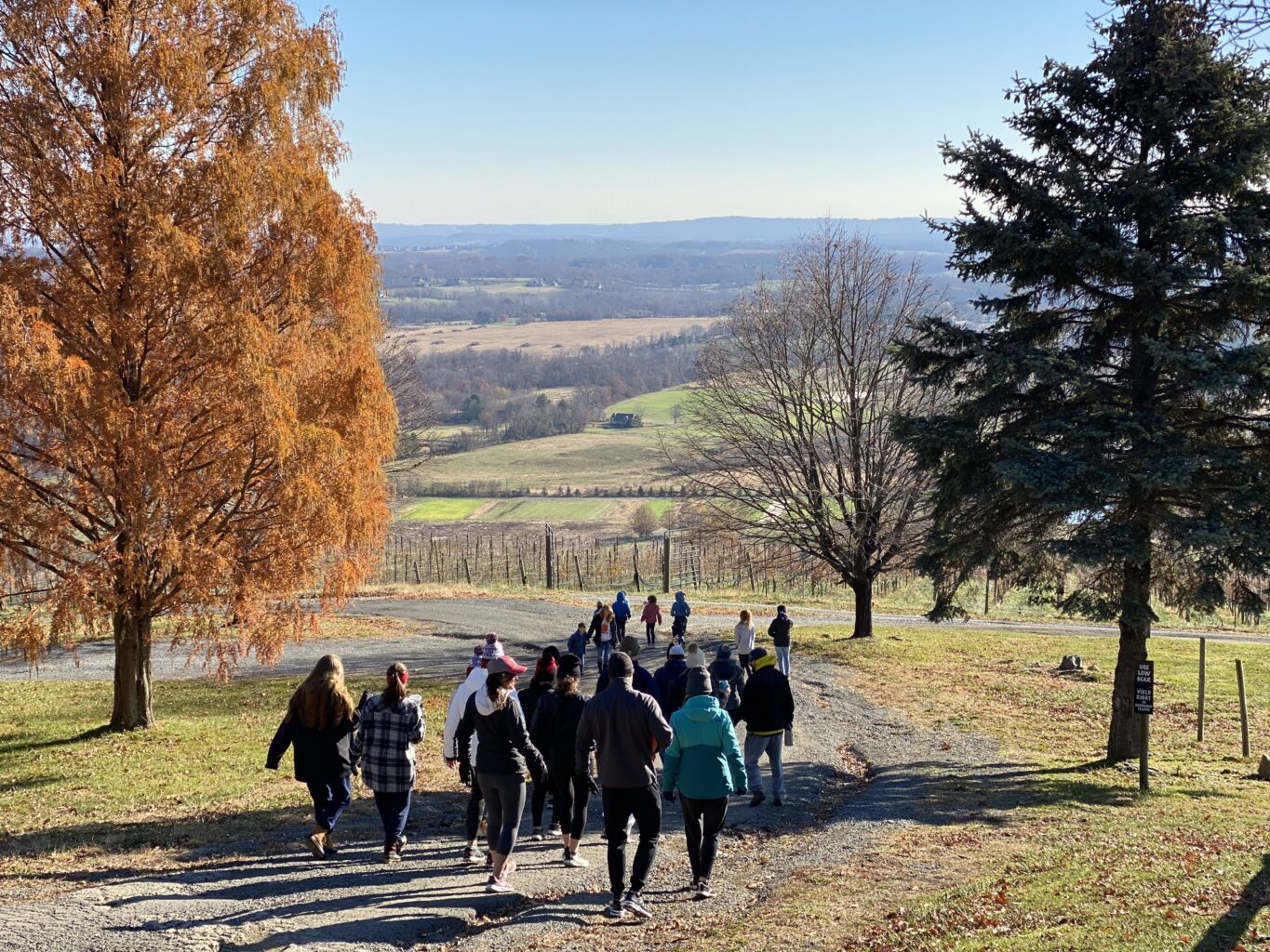 guests enjoying the walk at dirt farm brewing annual pre-turkey hill climb