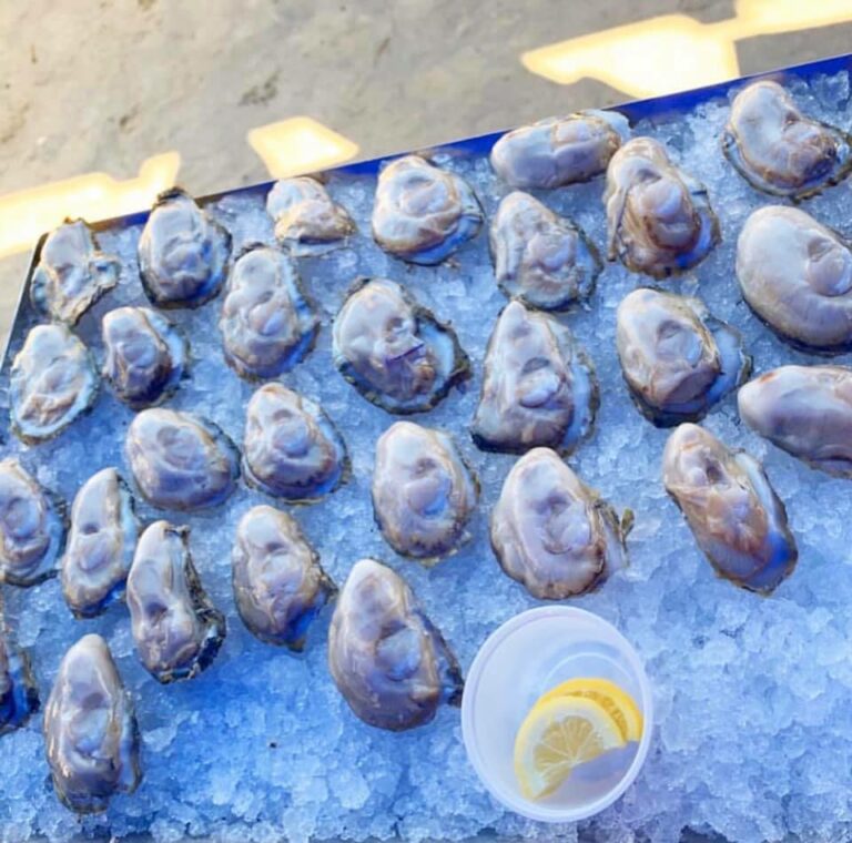 Nomini Bay Oyster Fest 1st Weekend of Each Month! Dirt Farm Brewing
