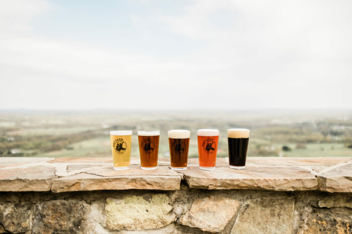 Dirt Farm Brewing Beer on wall with view of the Loudoun Valley American Craft Beer Week