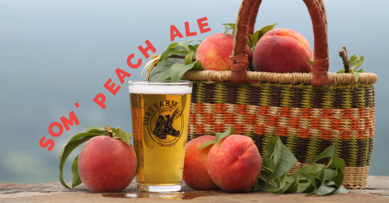 A pint of Dirt Farm Brewing's Som' Peach Ale with the view of the Loudoun county valley in the background