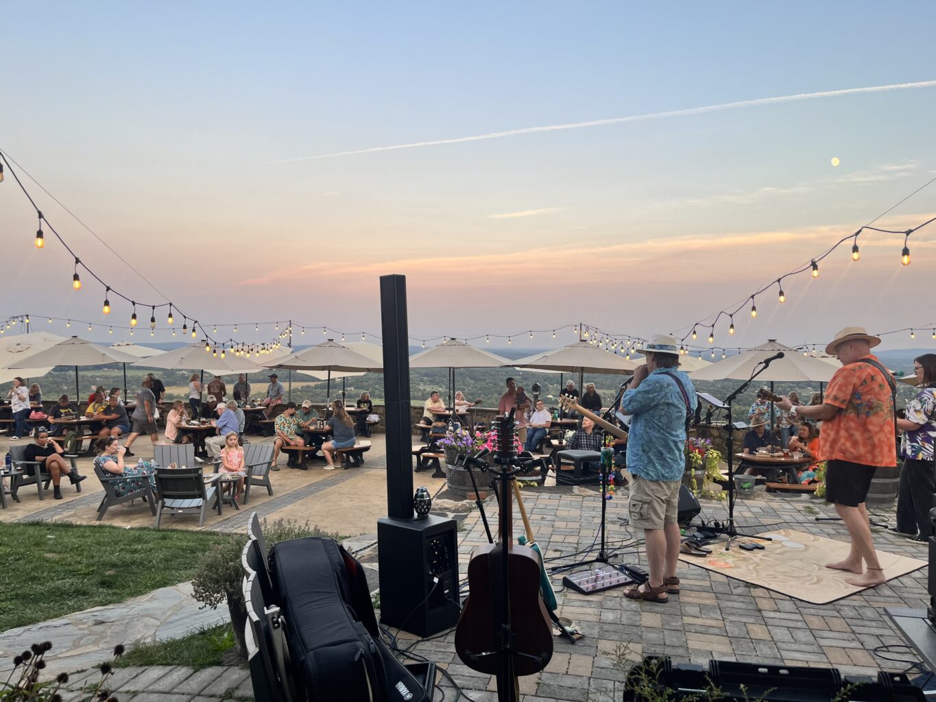 Patio Party feat. Tim Campbell + The Tropical Attitudes Band
