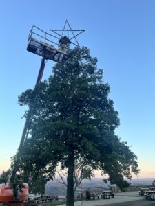 Bruce putting the star on top of a massive Christmas tree at dirt farm brewings Christmas tree lighting event in Loudoun county