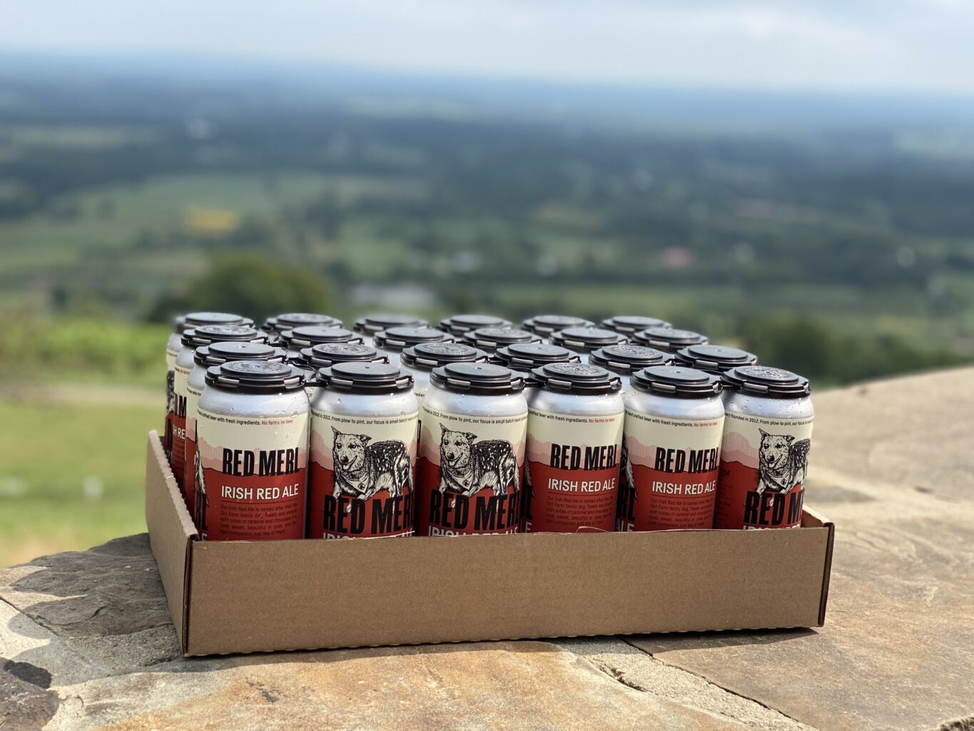 Stock The Fridge Beer Sale!