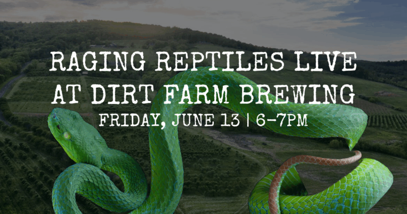 Flyer for raging Reptiles Live at dirt farm brewing. poster with large green snake
