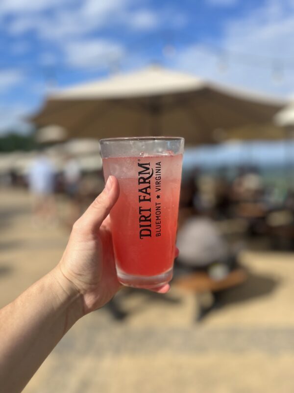 Guest holding up a glass of dirt farm brewing's watermelon crawl mountain water for their annual release