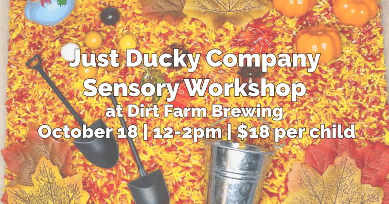 Flyer for just ducky company sensory workshop for kids. sensory rice and toys displayed with event information