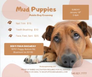 Mud Puppies Mobile Groomer Flyer for their event at Dirt farm brewing. dog laying down looking cute