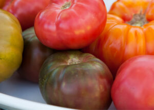 heirloom tomatoes freshly picked from great country farms