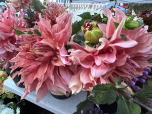 Dahlia Dream Flower Workshop with Walking Wind farm and florist