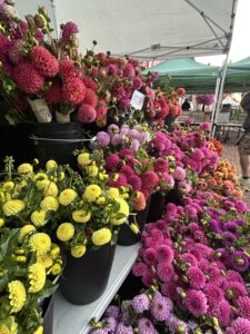 Dahlia Dream Flower Workshop with Walking Wind farm and florist