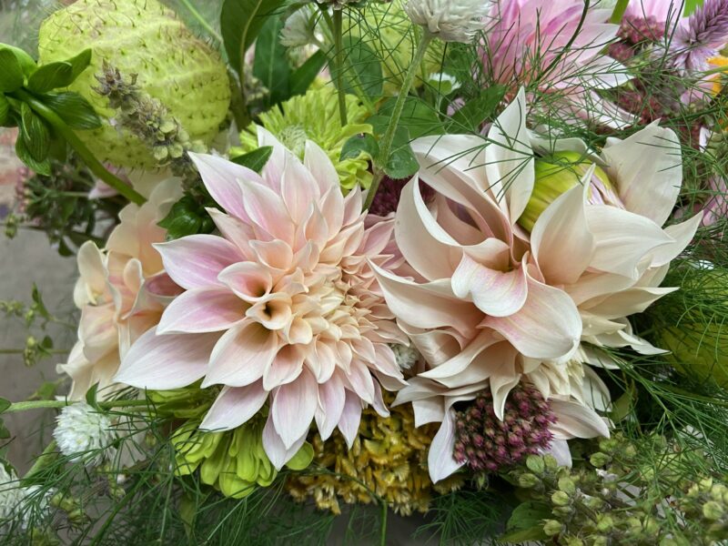 Join us for a hands-on workshop where we dive deep into the world of Dahlias with Walking Wind Farm and Florist at Dirt Farm Brewing!
