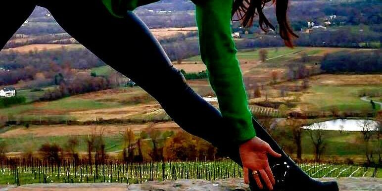 14054917_638648056286825_2174319624055402319_n