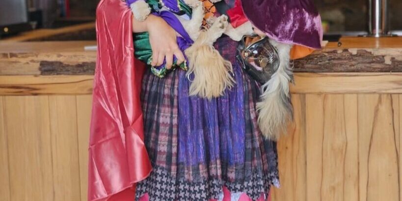 489433142_1156063723230435_2200677953921792054_n woman in a Sanderson sisters costume with her dogs at dirt farm brewings howl-o-ween event in Bluemont, virginia