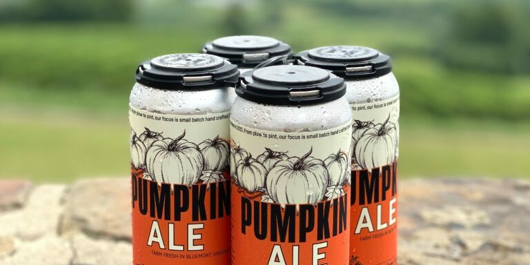 Brewery Loudoun County Dirt Farm Brewing Pumpkin Ale Cans on Stone Wall