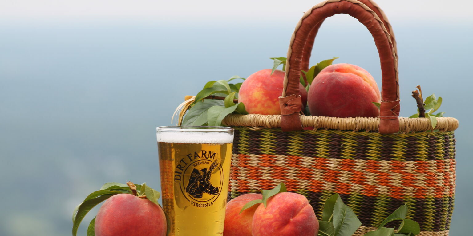 Dirt Farm Brewing Som' Peach Ale Beer Posed with Basket of Fresh Peaches From Great Country Farms. Som' Peach Ale Beer Release + Nomini Bay Oysters!