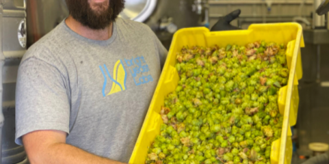 Screenshot 2021-08-19 11.09.25 AM Loudoun County Brewery Dirt Farm Brewing Head Brewer with Hop Harvest