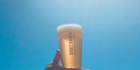 Screenshot 2023-05-26 3.24.45 PM gluten reduced beer at dirt farm brewing loudoun county brewery