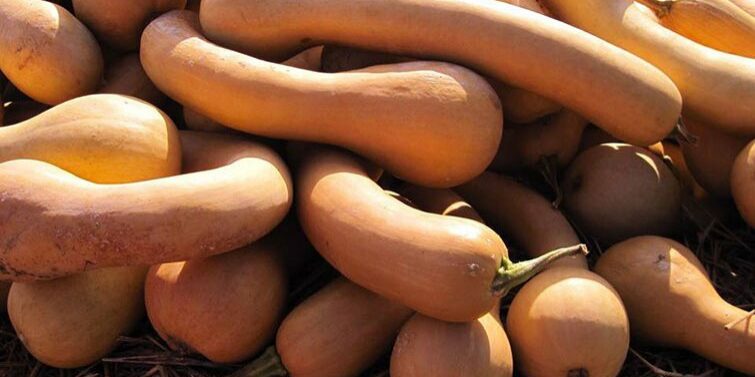 Dirt Farm Brewing Peter Peter Pumpkin Ale Release